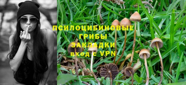 каннабис Алексеевка