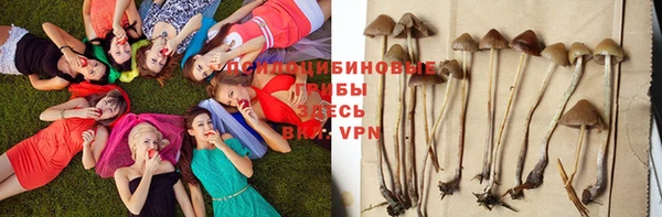 каннабис Алексеевка