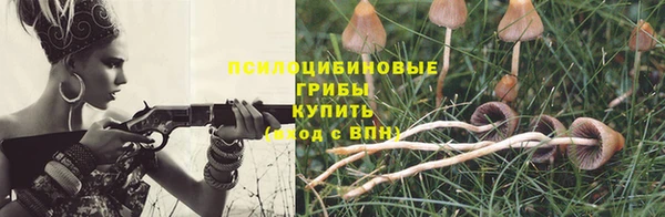 ешки Абаза
